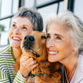 Supporting LGBTQ Seniors: A Comprehensive Guide